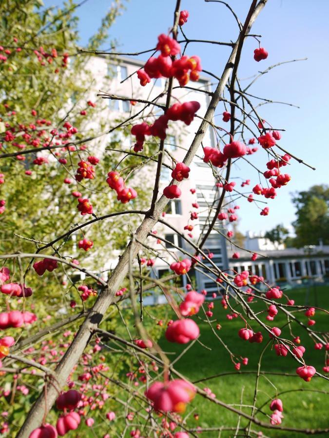 Hostel Huetteldorf Відень Екстер'єр фото